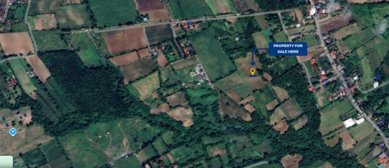 Rawland for sale in Tanauan, Batangas